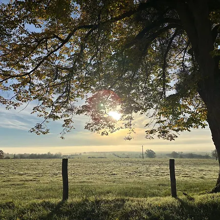 Le Nid Des Moises, Pavillon Neuf *