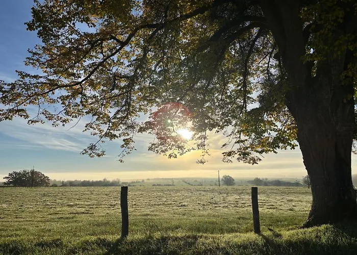 Le Nid Des Moises, Pavillon Neuf